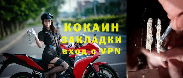 амф Алзамай