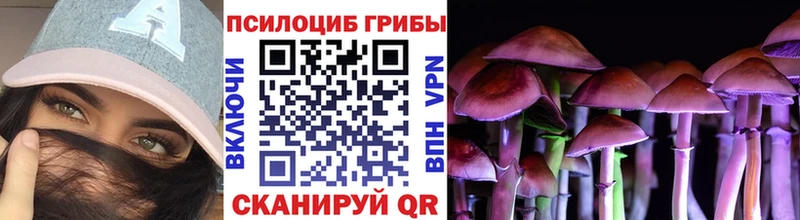 Галлюциногенные грибы прущие грибы Егорьевск