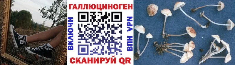 Псилоцибиновые грибы ЛСД  площадка клад  Егорьевск  MEGA  