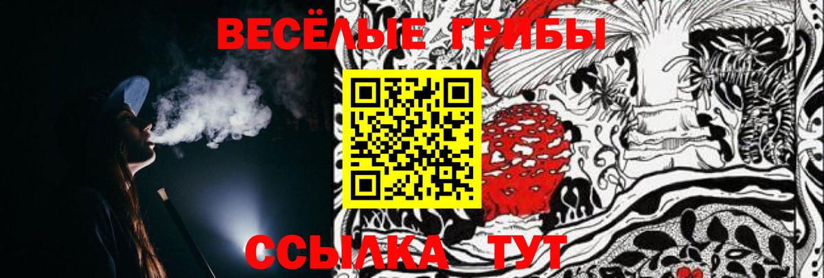 Псилоцибиновые грибы Psilocybe  Вход с VPN  Егорьевск 